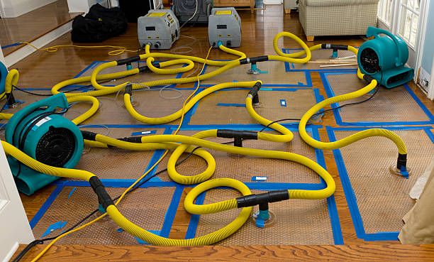Professional Water Damage Restoration technician working in Salina, UT